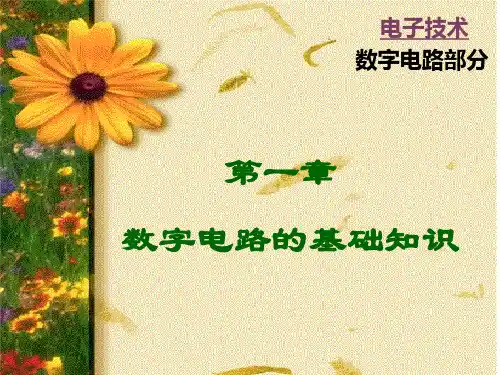 1第一章_数字电路基础知识