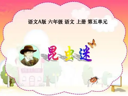 _昆虫迷_