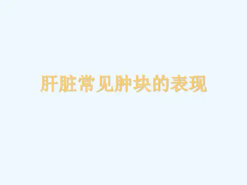 肝脏常见疾病CT诊断