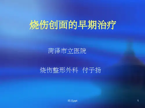 烧伤创面早期处理