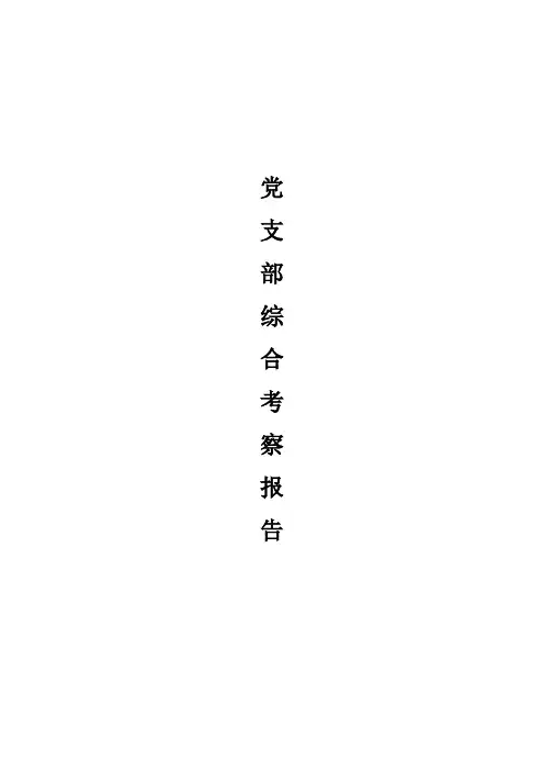 党支部综合考察报告