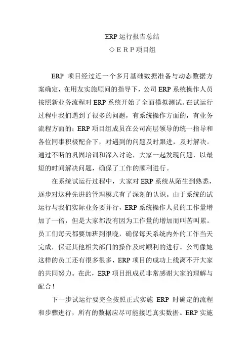 ERP运行报告总结
