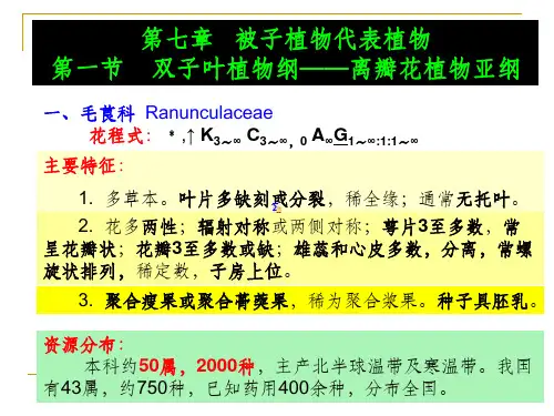 药用植物学完整——被子植物代表植物(一)