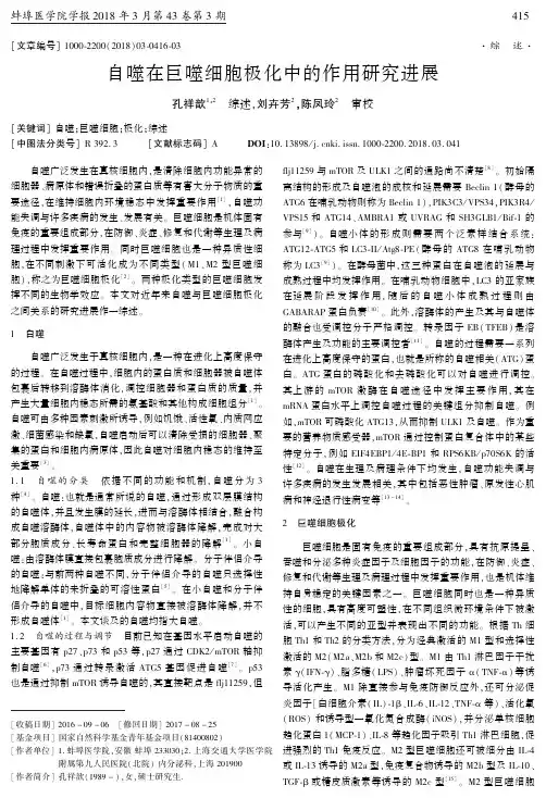 自噬在巨噬细胞极化中的作用研究进展
