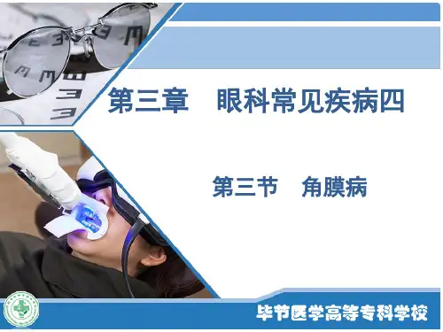 五官科学-第三章眼科常见疾病4角膜病与巩膜病