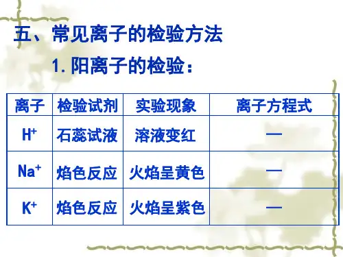 常见离子的检验和推断