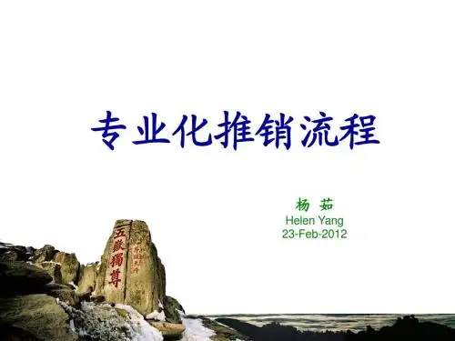 专业推销流程