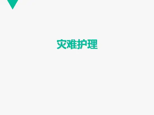 灾难护理 ppt课件