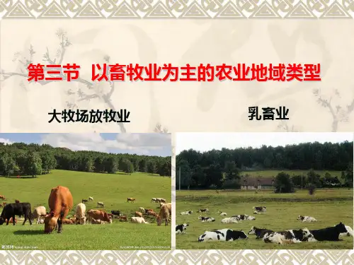 大牧场放牧业