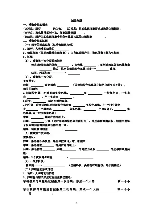减数分裂