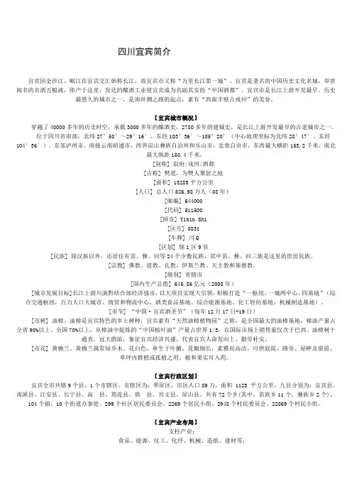 四川宜宾简介