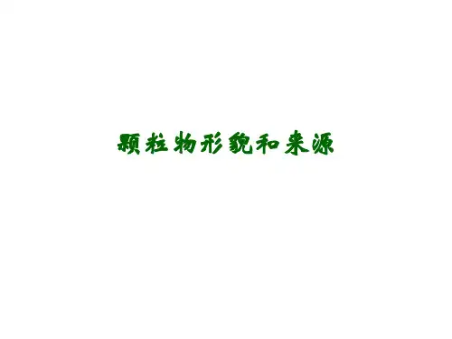大气颗粒物特性及其环境影响-胡敏教授..