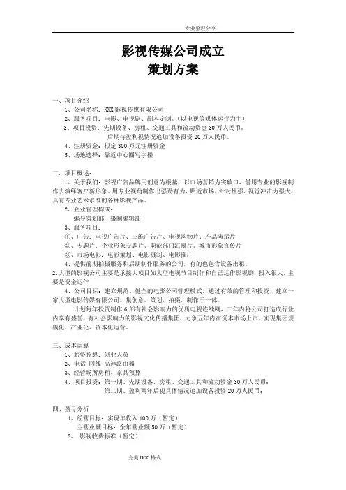 影视公司成立策划实施方案