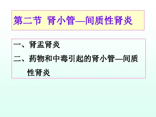 第十一章泌尿系统疾病2(肾盂肾炎和肿瘤)