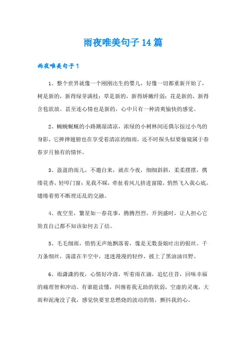 雨夜唯美句子14篇