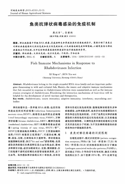鱼类抗弹状病毒感染的免疫机制