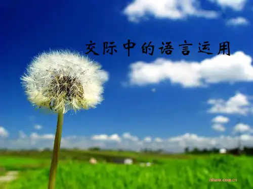 交际中的语言运用
