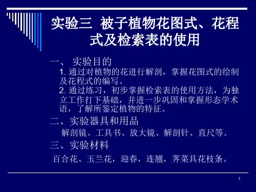实验三被子植物花程式花图式及检索表的使用ppt课件