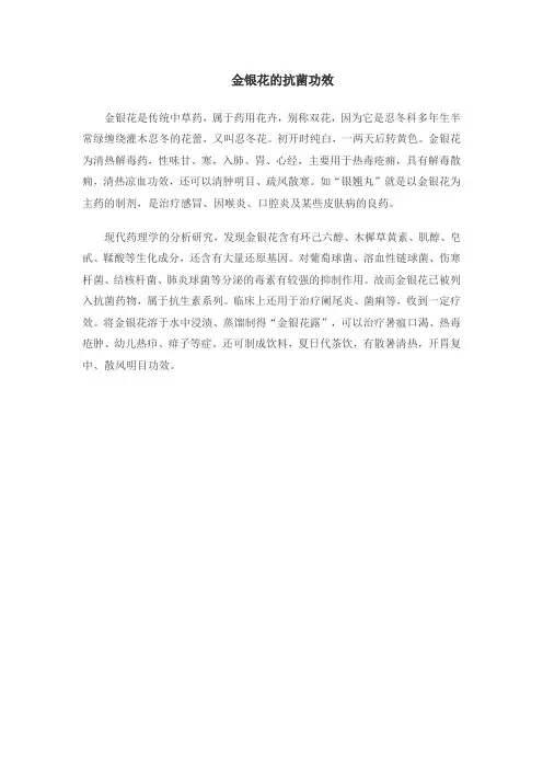 金银花的抗菌功效