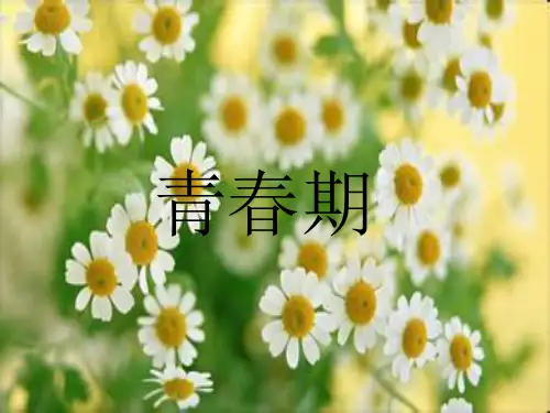 青春期
