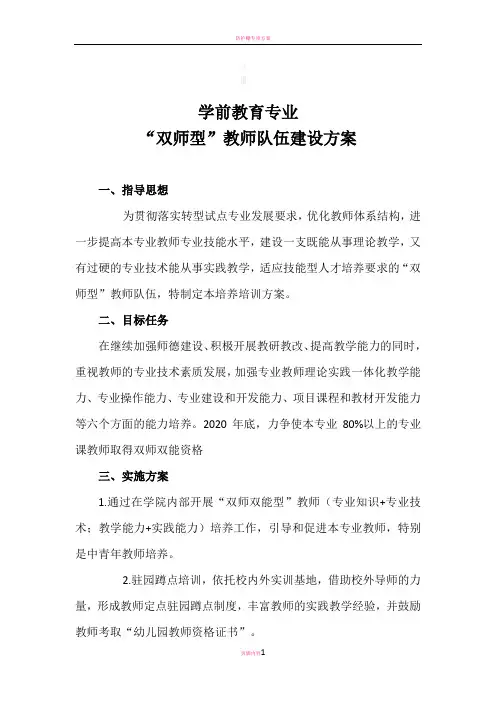 双师型教师队伍建设方案