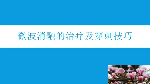 消融PPT