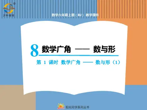 新人教版数学六年级上册 数学广角 —— 数与形第一课时