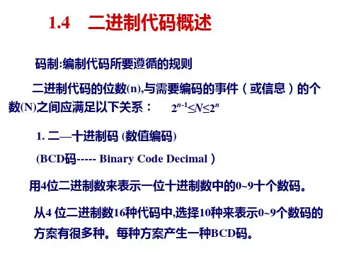 二进制代码概述