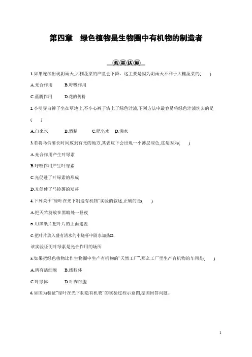人教版七年级生物上册《3-4 绿色植物是生物圈中有机物的制造者》作业同步练习题及参考答案