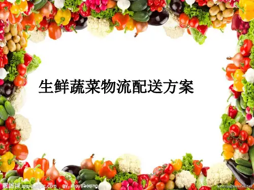 生鲜蔬菜物流配送方案PPT课件(28张)