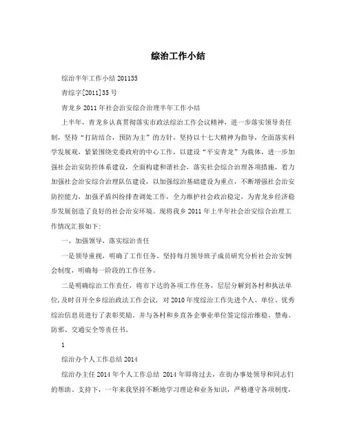 综治工作小结