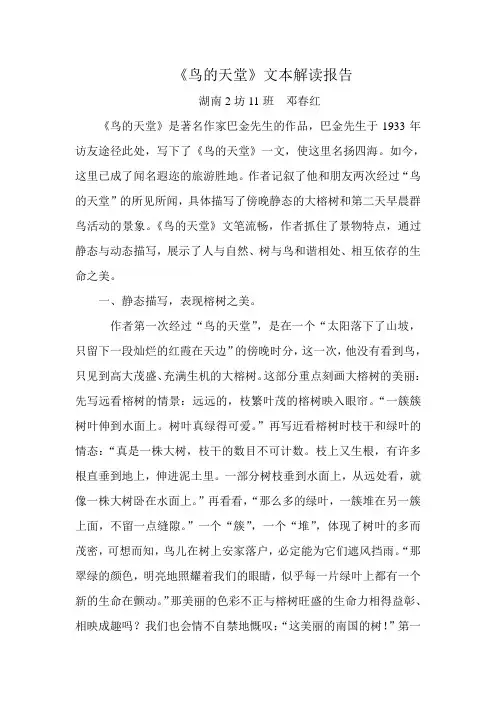《鸟的天堂》文本解读报告