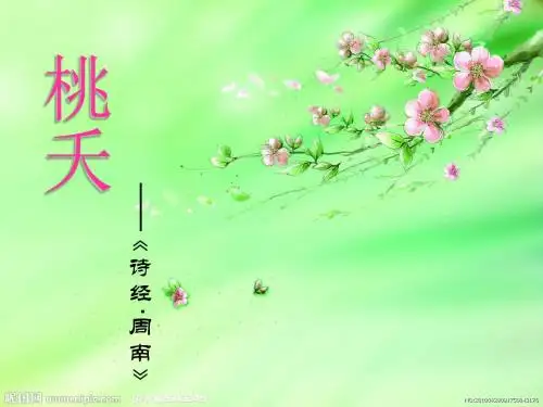 经典诵读之桃夭桃之夭夭灼灼其华