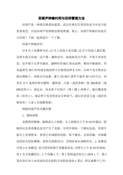 西葫芦种植时间与田间管理方法