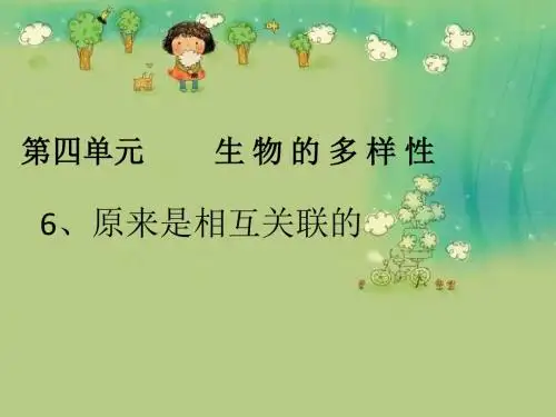 教科版科学六上《原来是相互关联的》PPT课件5