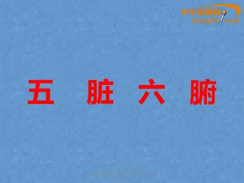 五脏六腑-中华讲师网
