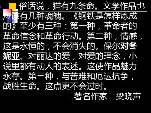 名著阅读——钢铁是怎样炼成的PPT课件
