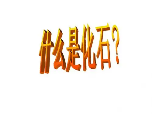 活化石精美完整课件