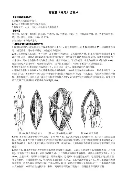 狗盲肠阑尾切除术