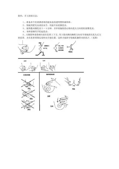 手工挤奶方法