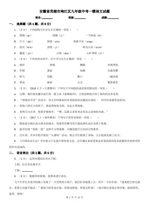 安徽省芜湖市鸠江区九年级中考一模语文试题