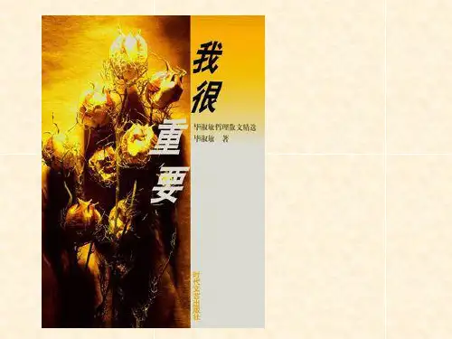 《我很重要》毕淑敏 课件