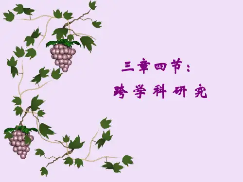 跨学科研究