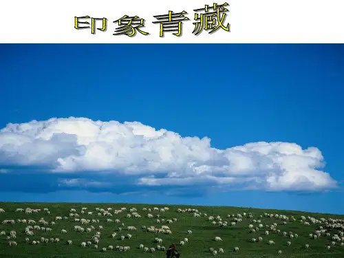 历史与社会(人教版)七年级下册：第六单元第四课青藏地区-西藏 海拔最高的牧区