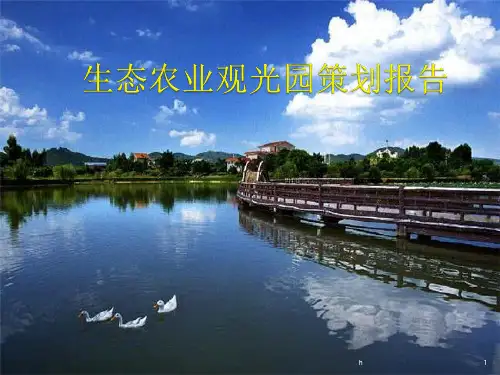 生态农业观光园设计策划报告
