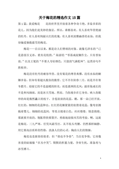 关于梅花的精选作文15篇