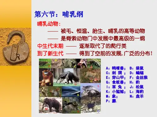 动物学教学课件：第六节：哺乳纲