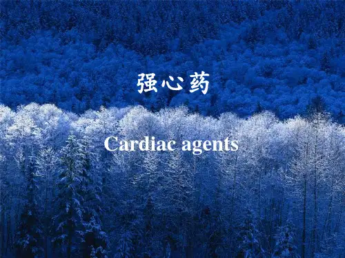 强心药的作用