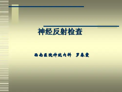 神经反射的检查