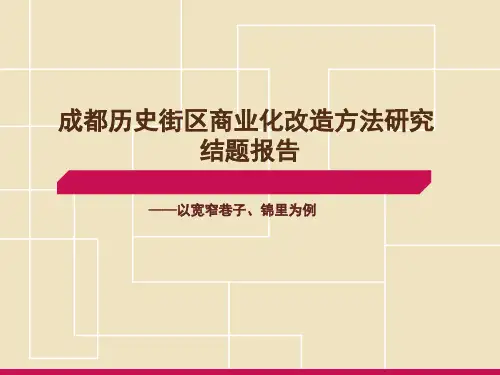 历史文化街区的商业化改造研究报告